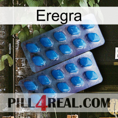 Eregra viagra2